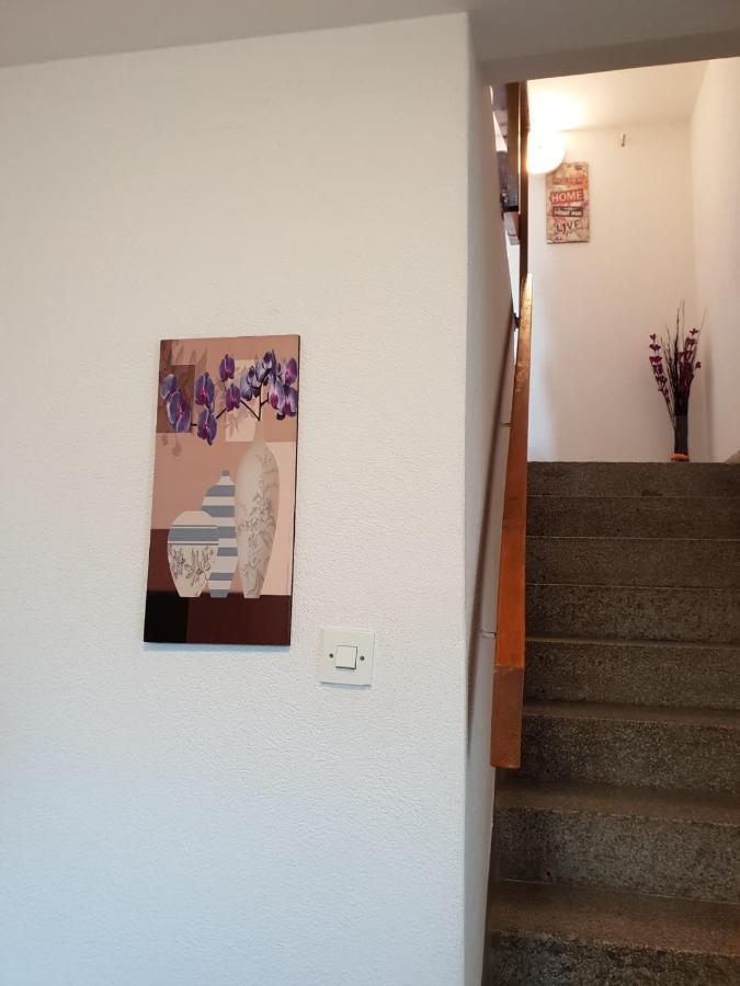 Apartmani Luka 茨里克韦尼察 外观 照片