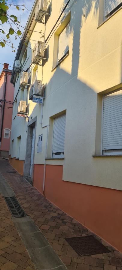 Apartmani Luka 茨里克韦尼察 外观 照片